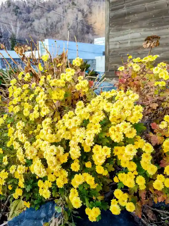 黄金龍神社(桂不動)(北海道)