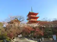 清水寺(京都府)