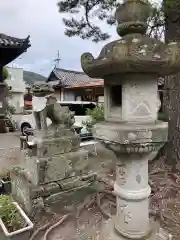 大麻比古神社の狛犬