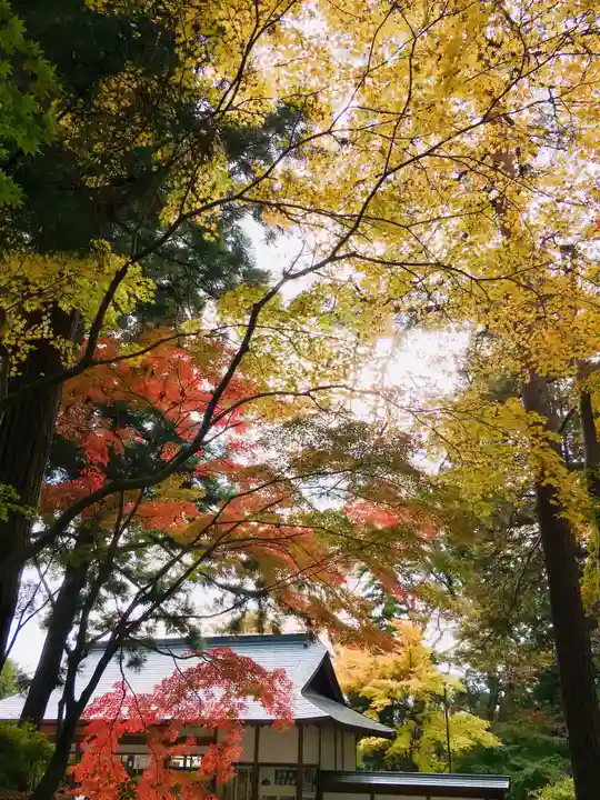 中尊寺本堂の庭園