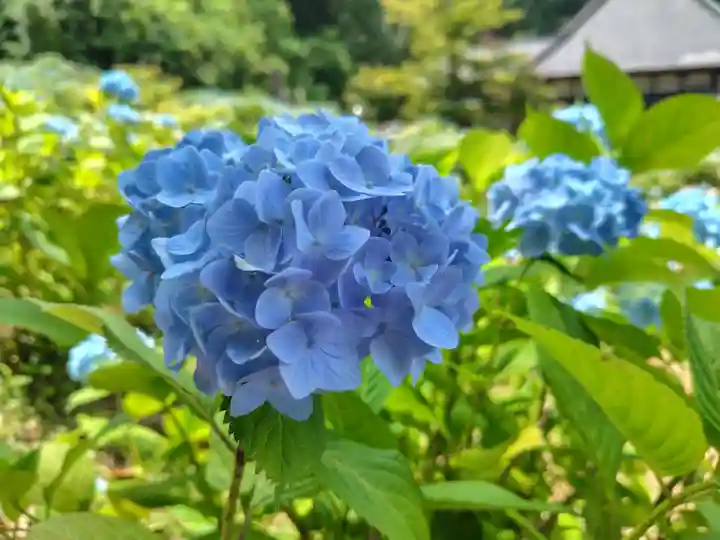 陽林寺(福島県)