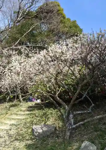 保久良神社(兵庫県)