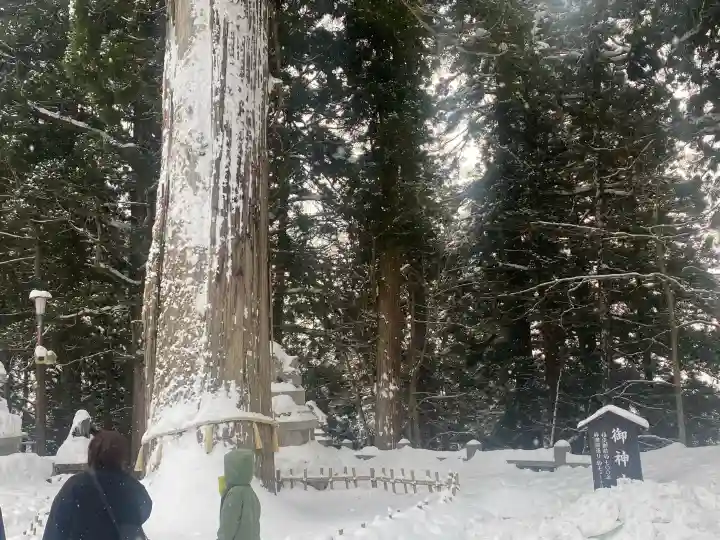 戸隠神社中社の{uncategorized: "未分類", other: "その他", undefined: "問題あり", building: "その他建物", grave: "お墓", sacred_gate: "鳥居", guardian: "狛犬", statue: "像", buddha: "仏像", history: "歴史", nature: "自然", garden: "庭園", animal: "動物", pagoda: "塔", temizu: "手水舎", mountain_gate: "山門・神門", sanctuary: "本殿・本堂", subordinate: "末社・摂社", art: "芸術", scenery: "景色", jizo: "地蔵", ema: "絵馬", goshuin: "御朱印", omikuji: "おみくじ", items: "授与品その他", amulet: "お守り", goshuincho: "御朱印帳", eats: "食事", festival: "お祭り", votive_dance: "神楽", shichigosan: "七五三参", wedding: "結婚式", experience: "体験その他", initially: "初詣", around: "周辺", anti_infection: "感染症対策"}