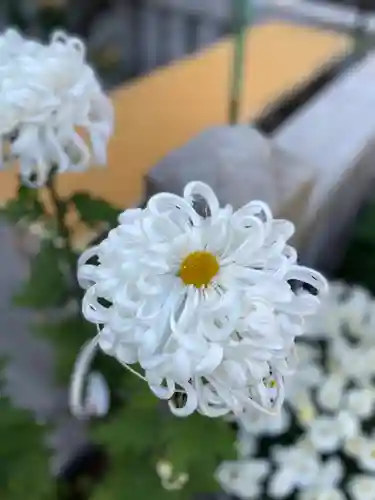 久里浜天神社の自然