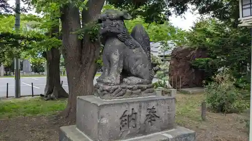 新琴似神社の狛犬