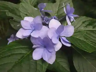 常盤神社(山口県)
