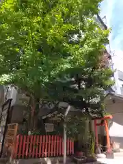 銀杏岡八幡神社(東京都)