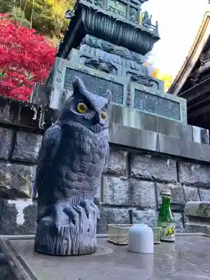 大山寺(神奈川県)