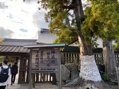 出雲大社(島根県)