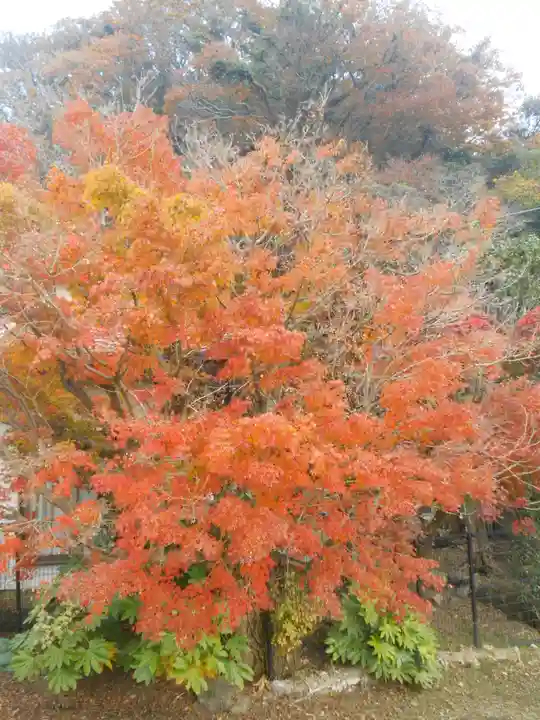 永福寺跡(永福寺址)の自然