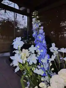 厚別神社(北海道)(2023年04月28日(金) 18時17分08秒投稿)