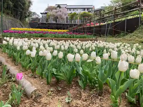 泉蔵寺の庭園