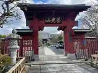 妙蓮寺の{uncategorized: "未分類", other: "その他", undefined: "問題あり", building: "その他建物", grave: "お墓", sacred_gate: "鳥居", guardian: "狛犬", statue: "像", buddha: "仏像", history: "歴史", nature: "自然", garden: "庭園", animal: "動物", pagoda: "塔", temizu: "手水舎", mountain_gate: "山門・神門", sanctuary: "本殿・本堂", subordinate: "末社・摂社", art: "芸術", scenery: "景色", jizo: "地蔵", ema: "絵馬", goshuin: "御朱印", omikuji: "おみくじ", items: "授与品その他", amulet: "お守り", goshuincho: "御朱印帳", eats: "食事", festival: "お祭り", votive_dance: "神楽", shichigosan: "七五三参", wedding: "結婚式", experience: "体験その他", initially: "初詣", around: "周辺", anti_infection: "感染症対策"}