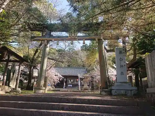 藤白神社の鳥居