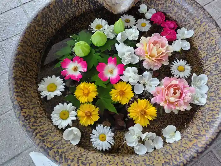 美瑛神社の手水舎