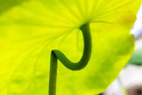 大久寺(神奈川県)
