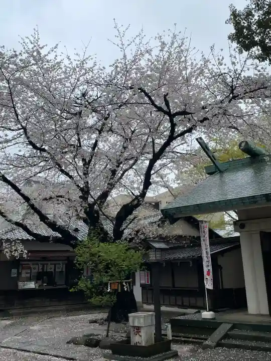 駒込天祖神社(東京都)
