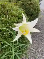 大鏑神社(福島県)