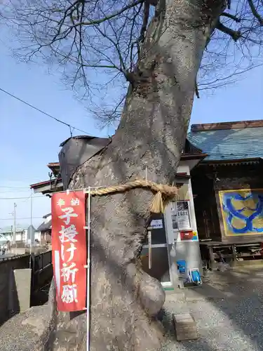 須賀神社(宮城県)
