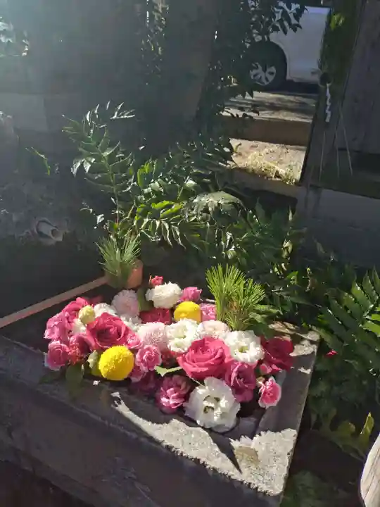 本郷氷川神社(東京都)