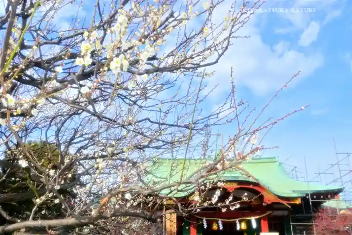 亀戸天神社(東京都)