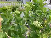 總社 和田八幡宮の自然