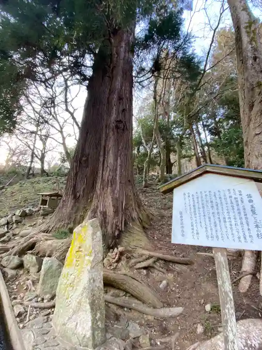 長谷寺(奈良県)