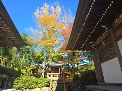 大乗寺(兵庫県)