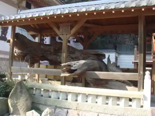 福祥寺（須磨寺）の自然