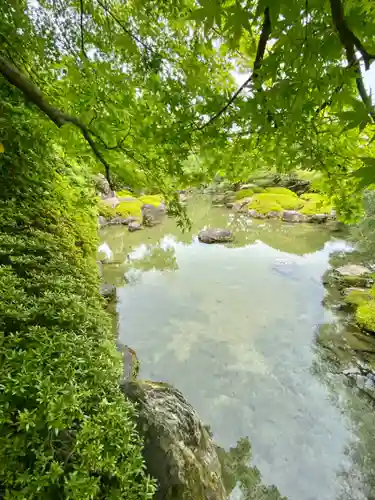 城南宮の庭園