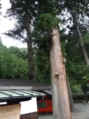 鎮神社(長野県)
