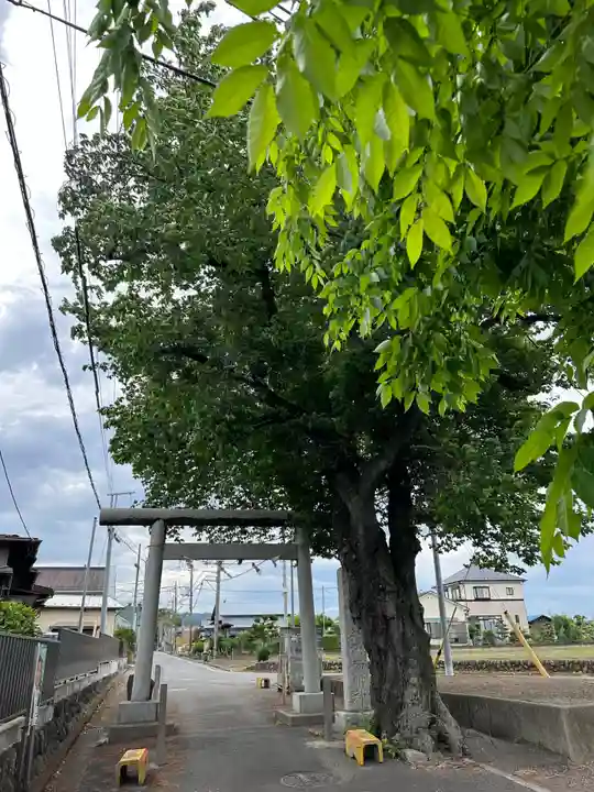 諏訪明神(神奈川県)