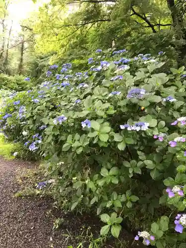 高幡不動尊　金剛寺(東京都)