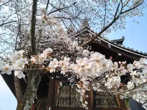 知恩院の{uncategorized: "未分類", other: "その他", undefined: "問題あり", building: "その他建物", grave: "お墓", sacred_gate: "鳥居", guardian: "狛犬", statue: "像", buddha: "仏像", history: "歴史", nature: "自然", garden: "庭園", animal: "動物", pagoda: "塔", temizu: "手水舎", mountain_gate: "山門・神門", sanctuary: "本殿・本堂", subordinate: "末社・摂社", art: "芸術", scenery: "景色", jizo: "地蔵", ema: "絵馬", goshuin: "御朱印", omikuji: "おみくじ", items: "授与品その他", amulet: "お守り", goshuincho: "御朱印帳", eats: "食事", festival: "お祭り", votive_dance: "神楽", shichigosan: "七五三参", wedding: "結婚式", experience: "体験その他", initially: "初詣", around: "周辺", anti_infection: "感染症対策"}
