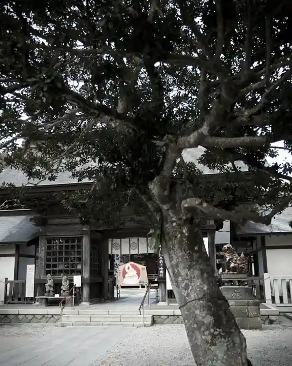 大洗磯前神社(茨城県)