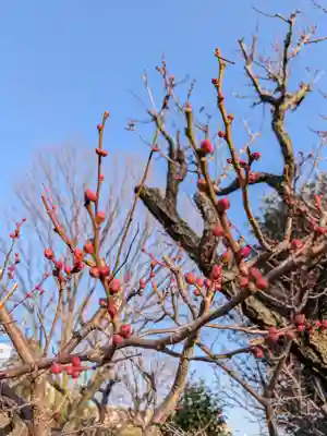 瑞円寺(東京都)