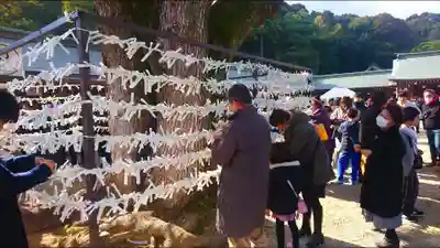 橿原神宮のおみくじ