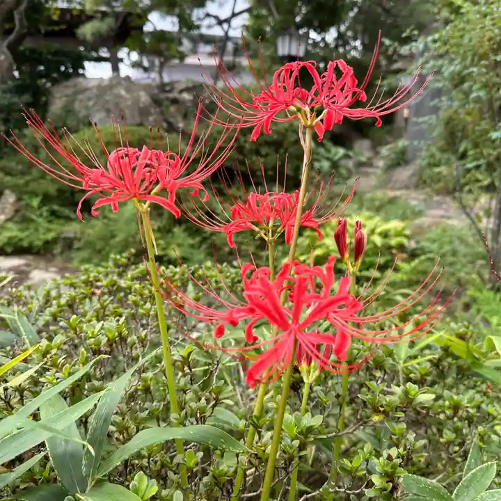 豊景神社(福島県)