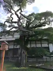 圓鏡寺(岐阜県)