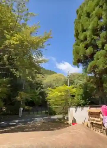 主乃雅神社の{uncategorized: "未分類", other: "その他", undefined: "問題あり", building: "その他建物", grave: "お墓", sacred_gate: "鳥居", guardian: "狛犬", statue: "像", buddha: "仏像", history: "歴史", nature: "自然", garden: "庭園", animal: "動物", pagoda: "塔", temizu: "手水舎", mountain_gate: "山門・神門", sanctuary: "本殿・本堂", subordinate: "末社・摂社", art: "芸術", scenery: "景色", jizo: "地蔵", ema: "絵馬", goshuin: "御朱印", omikuji: "おみくじ", items: "授与品その他", amulet: "お守り", goshuincho: "御朱印帳", eats: "食事", festival: "お祭り", votive_dance: "神楽", shichigosan: "七五三参", wedding: "結婚式", experience: "体験その他", initially: "初詣", around: "周辺", anti_infection: "感染症対策"}