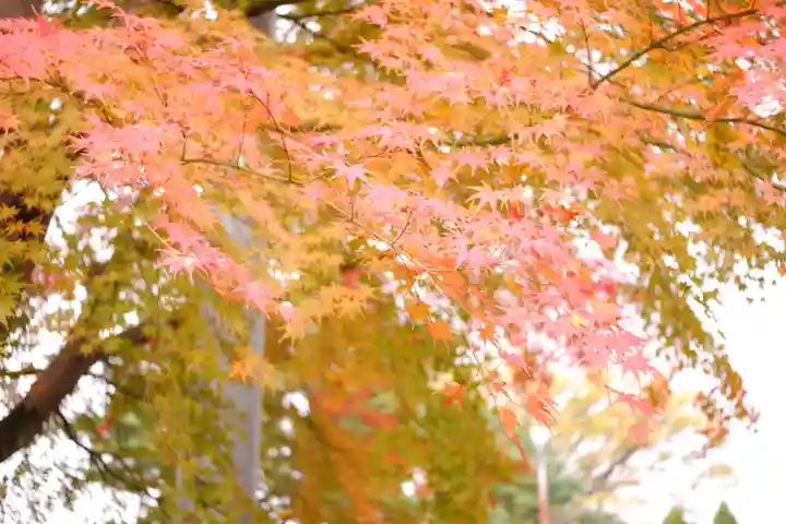 天津神社(新潟県)