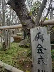 妙蓮寺の建物その他