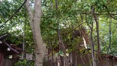 検見川神社の本殿・本堂