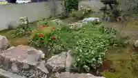 本光寺の自然