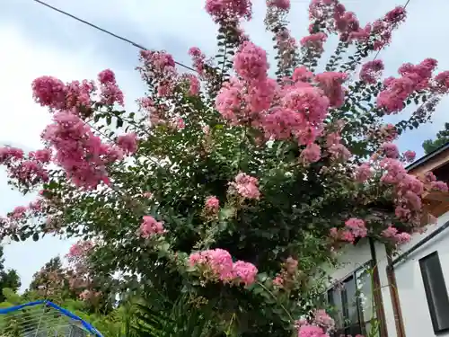 大樹院(山形県)