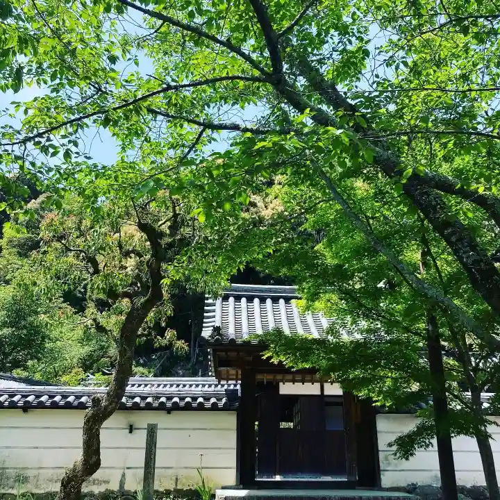 金剛寺(大阪府)