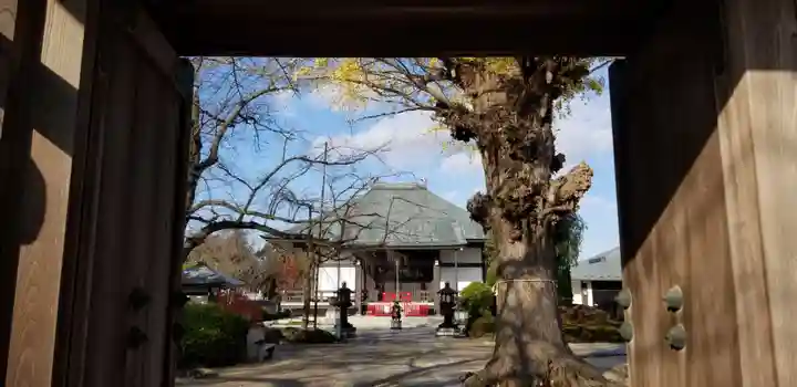 大勝院の山門・神門