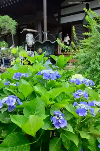 妙楽寺(神奈川県)
