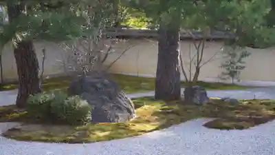 廬山寺(廬山天台講寺)(京都府)