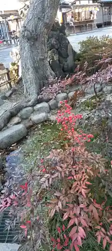 菊田神社の{uncategorized: "未分類", other: "その他", undefined: "問題あり", building: "その他建物", grave: "お墓", sacred_gate: "鳥居", guardian: "狛犬", statue: "像", buddha: "仏像", history: "歴史", nature: "自然", garden: "庭園", animal: "動物", pagoda: "塔", temizu: "手水舎", mountain_gate: "山門・神門", sanctuary: "本殿・本堂", subordinate: "末社・摂社", art: "芸術", scenery: "景色", jizo: "地蔵", ema: "絵馬", goshuin: "御朱印", omikuji: "おみくじ", items: "授与品その他", amulet: "お守り", goshuincho: "御朱印帳", eats: "食事", festival: "お祭り", votive_dance: "神楽", shichigosan: "七五三参", wedding: "結婚式", experience: "体験その他", initially: "初詣", around: "周辺", anti_infection: "感染症対策"}